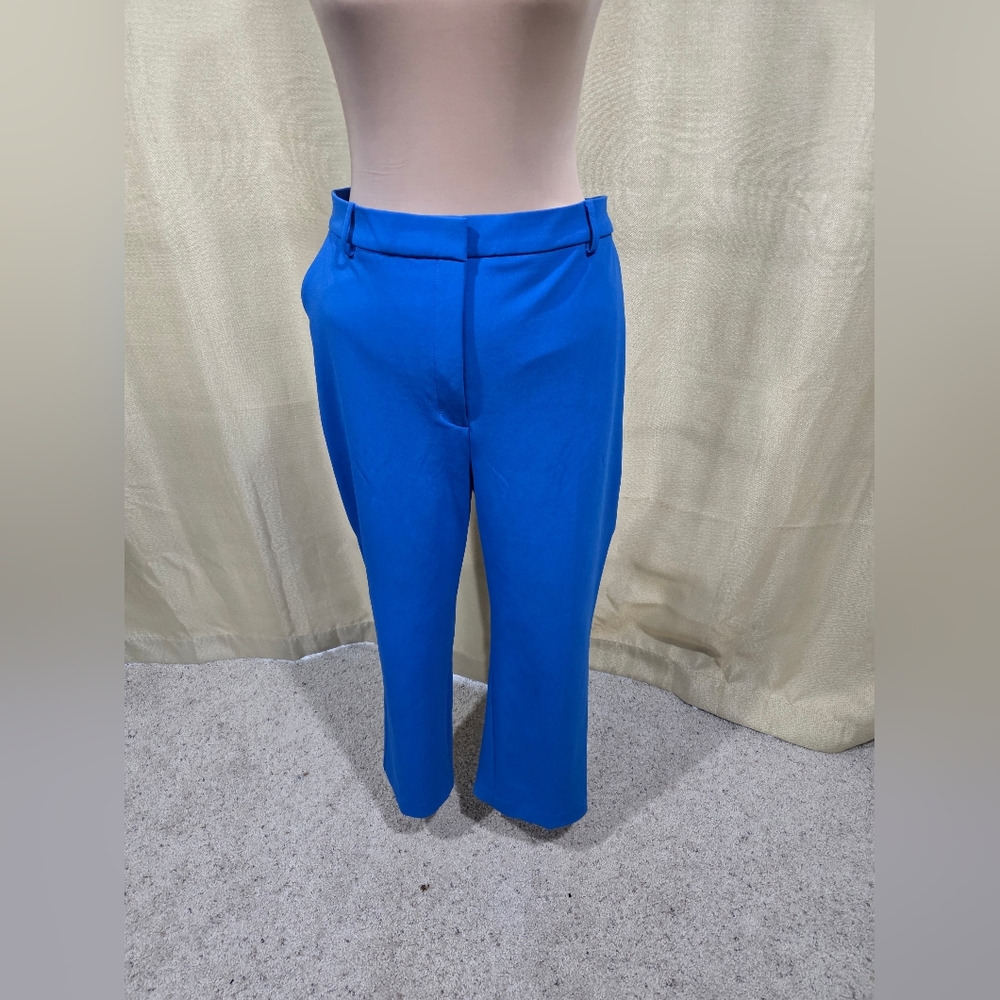 EXPRESS Elegant Blue Women's Pants SIZE XL